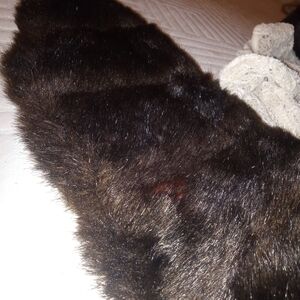 Dennis Basso Dark Brown Faux Fur Scarf